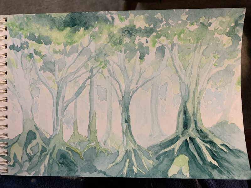 Forest Encounter watercolor