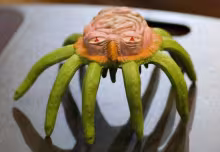 The horrible Grell toy, an AD&D monster.