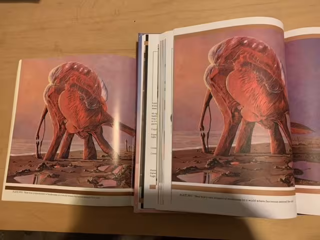 Side-by-side comparisons of Expedition editions.